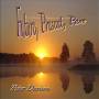 Peter Davison - Future Present Past