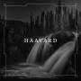Haavard - Haavard (Black 2-Vinyl)
