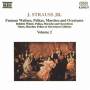 johann Strauss - Waltzes, Polkas, Marches & Overtures 2