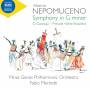 Fabio Mechetti / Minas Gerais Philharmonic Orchestra - Symphonie in g minor