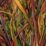 Gengahr - ImportCDs Where Wildness Grows Vinilo Pop rock 