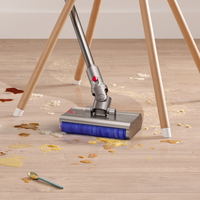 Dyson 6
