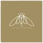 Cicada Rhythm - ImportCDs Cicada Rhythm Vinyl Americana