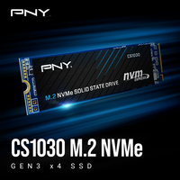 Pny Electronics 2